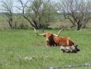 PICTURES/Fort Griffin State Historic Site - Texas/t_IMG_9092.JPG